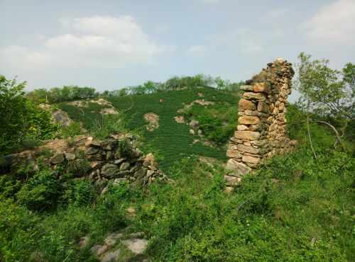 图片关键词