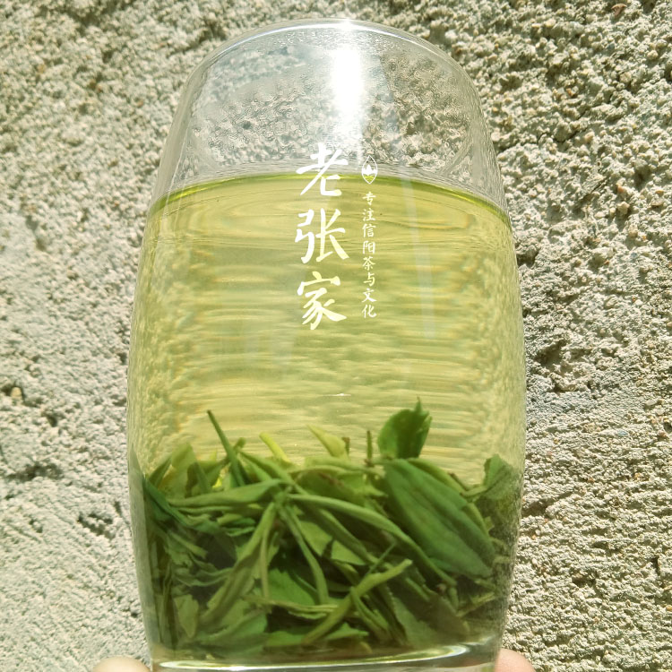 老张家茶2023信阳毛尖雨前野茶芽叶