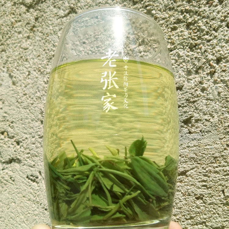 老張傢茶2023信陽毛尖雨前野茶芽葉