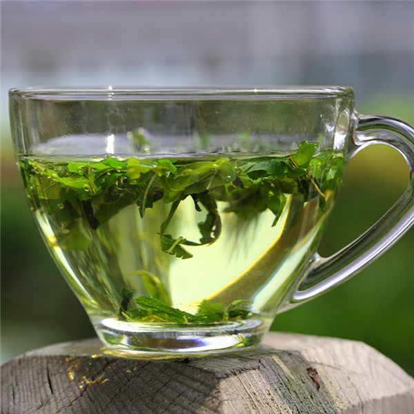 如蕙牌桑叶茶清热养生茶