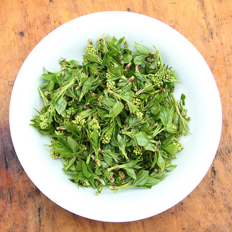 老张家农家自采大山野菜珍珠花