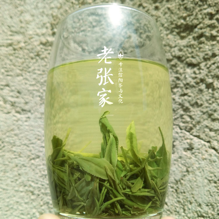 老张家茶2023信阳毛尖雨前芽叶