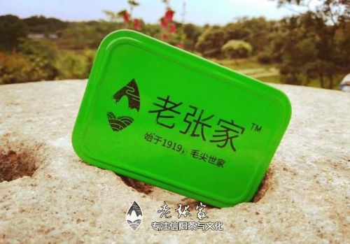 老张家信阳毛尖